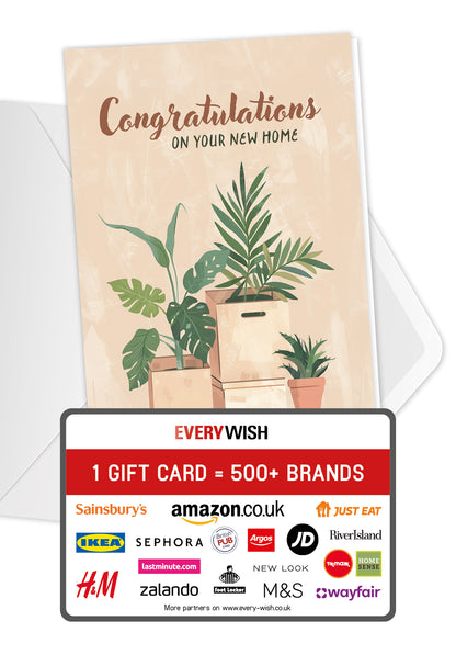 Congratulations on your new home - Boxes and plants