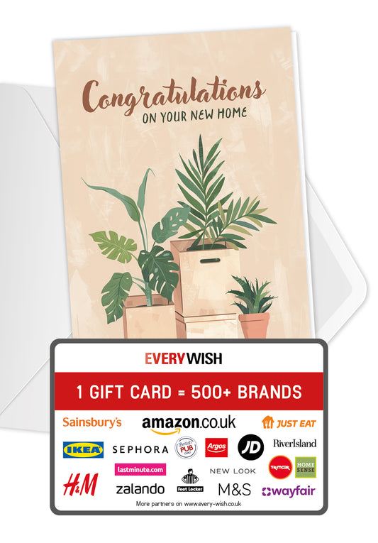 Congratulations on your new home - Boxes and plants