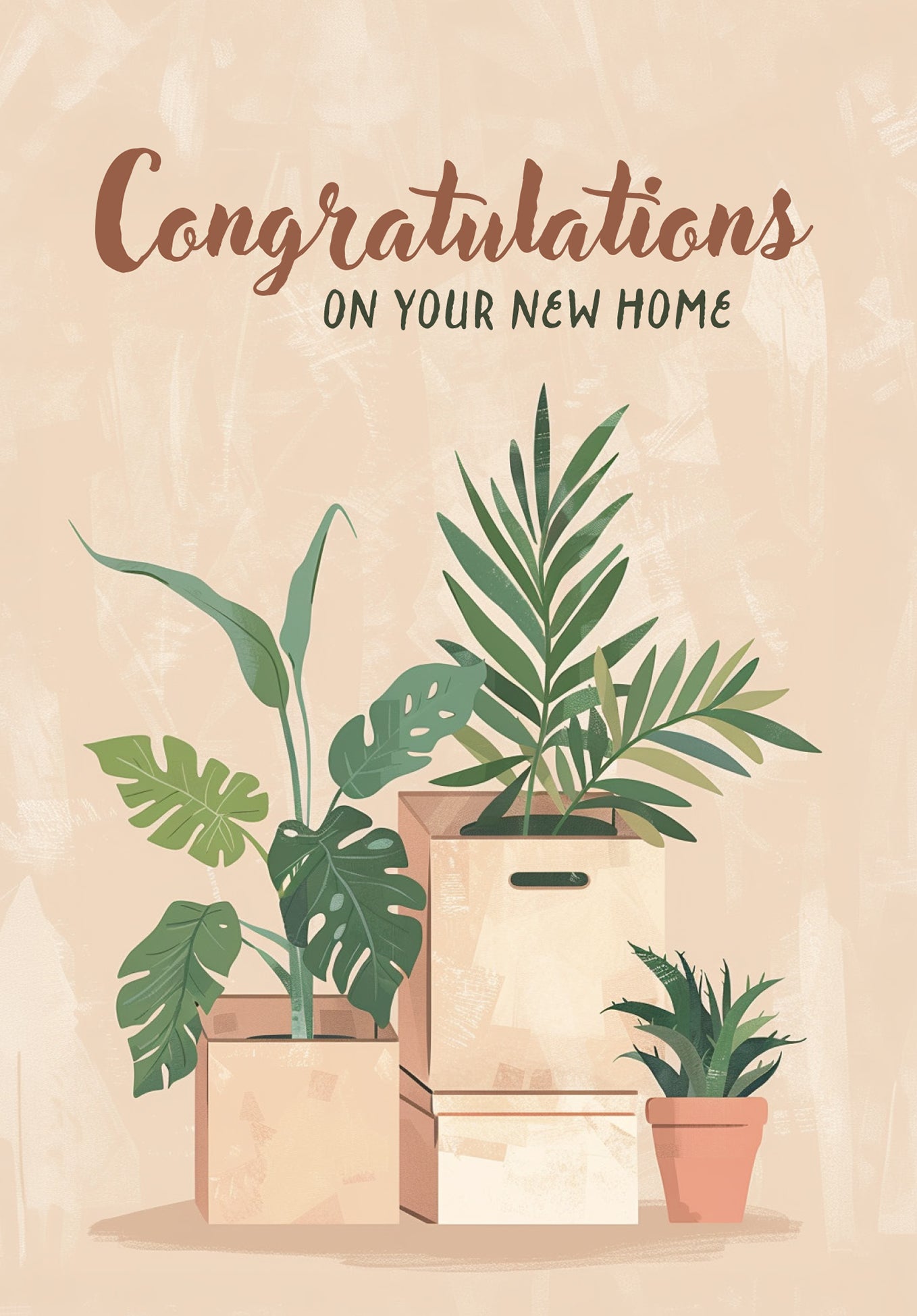 Congratulations on your new home - Boxes and plants
