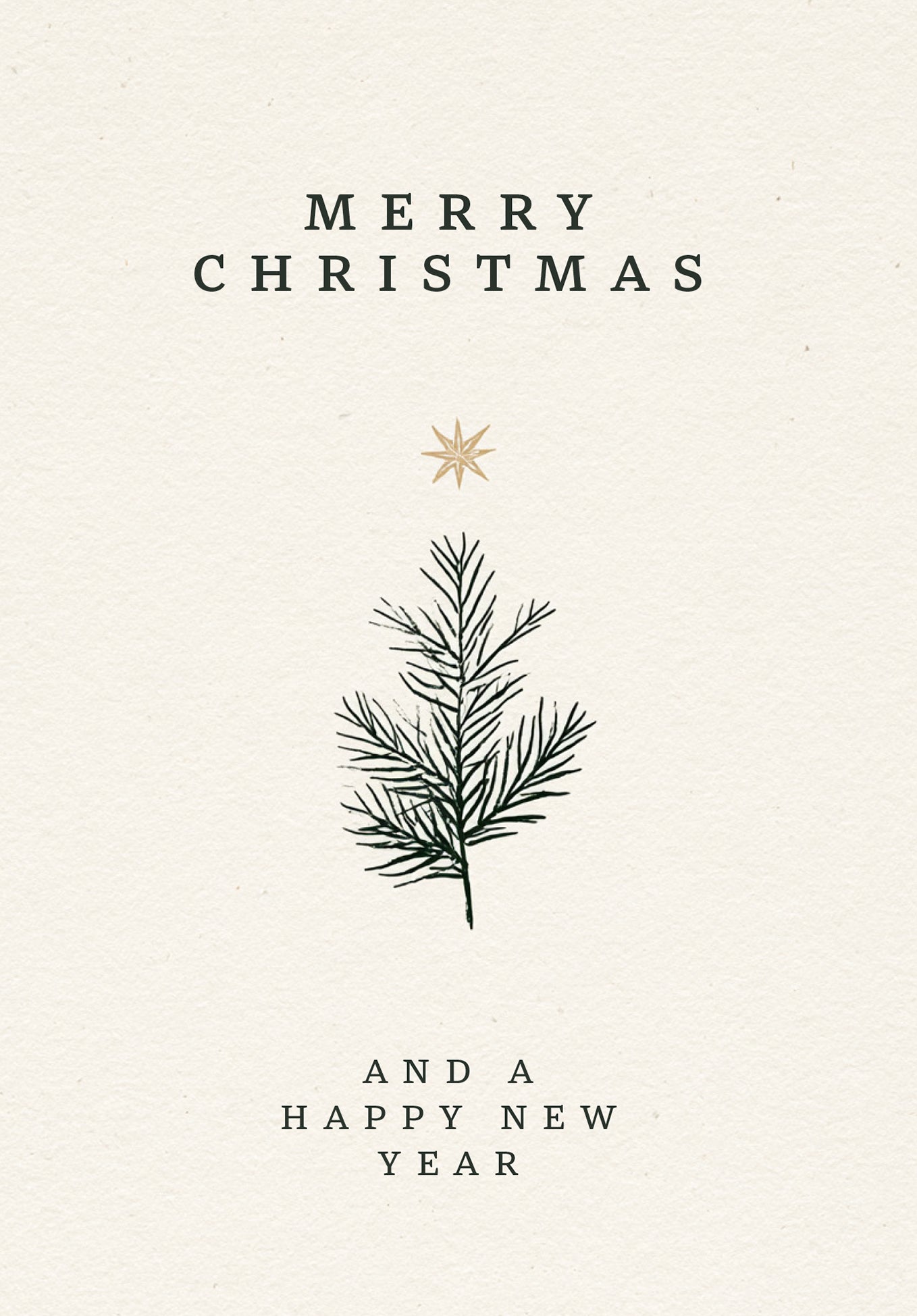Merry Christmas and a happy new year - Twig and Star