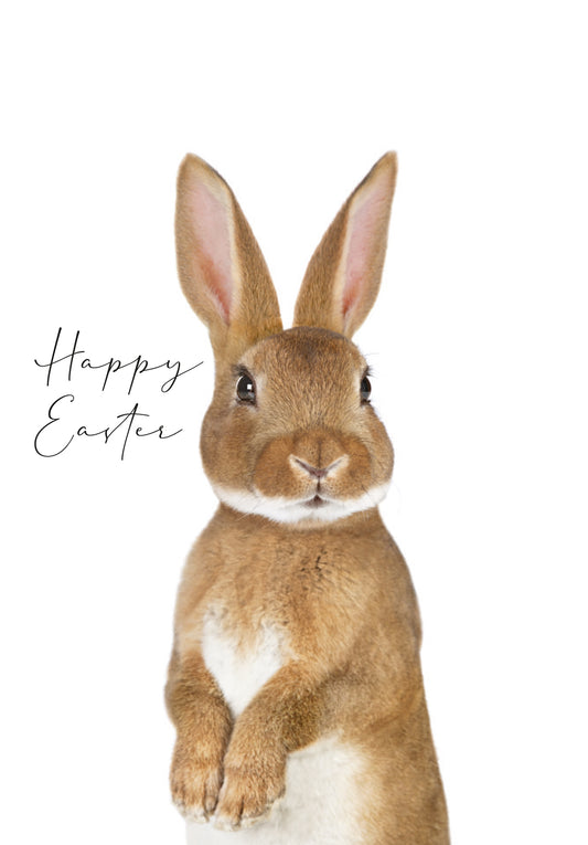 Happy Easter - Brown Rabbit