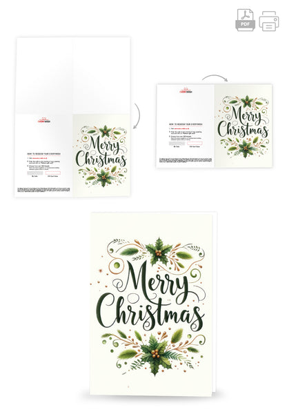 Merry Christmas - Mistletoe